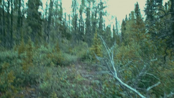 The Road to Patagonia (2022) download