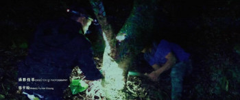 The Rope Curse (2018) download