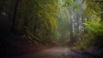 The Run of Your Life (2024) download