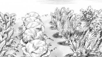 The Runaway Bunny (2021) download