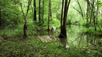 The Science Adventures of Tom & Huck (2025) download