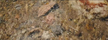 The Seas Between Us (2025) download