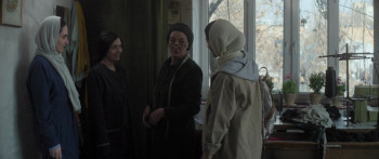 The Seed of the Sacred Fig (2024) download