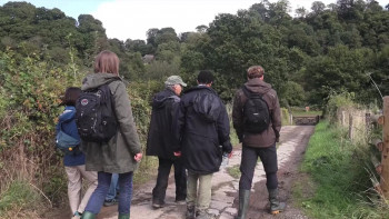 The Sequel (2018) download