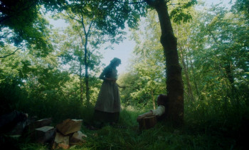 The Severed Sun (2024) download