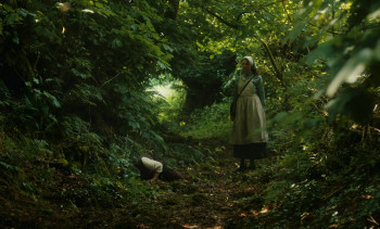 The Severed Sun (2024) download