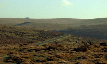 The Severed Sun (2024) download