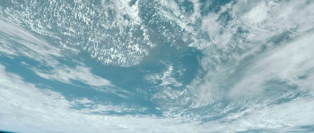 The Shrinking Man (2025) download