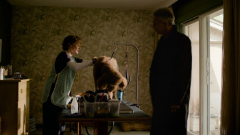 The Shrouds (2024) download