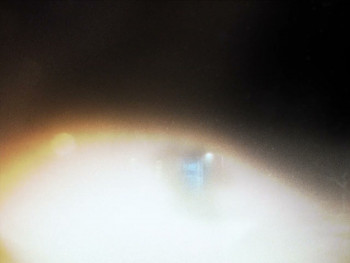 The Singers (2025) download