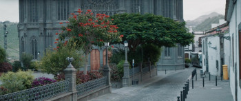 The Sleeping Woman (2024) download