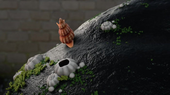 The Snail and the Whale (2019) download