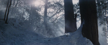 The Snow Woman (1968) download