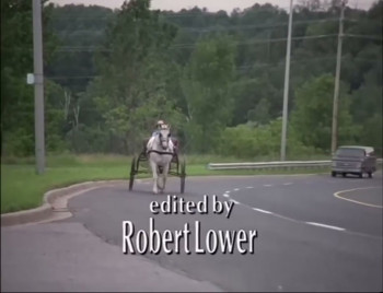 The Stalking of Laurie Show (2000) download