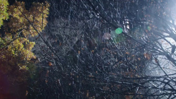 The Story of Robin Hood and His Merrie Men (1952) download