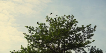 The Stress Is Killing Me (2024) download