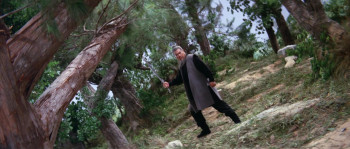 The Sword of Swords (1968) download