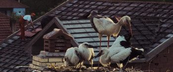 The Tale of Silyan (2025) download