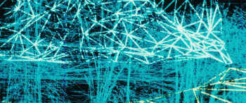 The Talent (2023) download