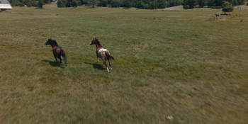 The Twister: Caught in the Storm (2025) download