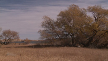 The United States of America (2022) download