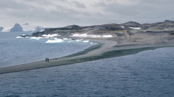 The Unknown Life of Antarctica (2019) download