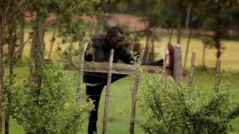 The Unknown Runner (2013) download