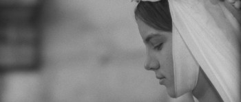 The Valley of the Bees (1968) download