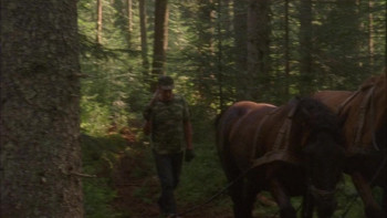 The Vanquishing of the Witch Baba Yaga (2014) download