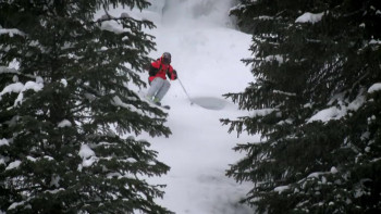 The Way I See It (2010) download