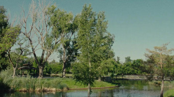 The Wedding Party (2025) download