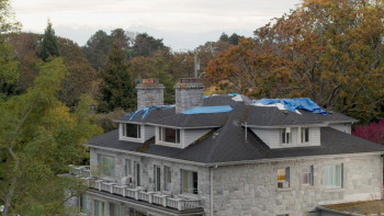 The Wedding Veil Expectations (2023) download