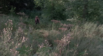 The Wicked Lady (1983) download