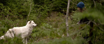 The Wolf and the Lion (2021) download