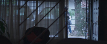 The Woman in the Line (2025) download