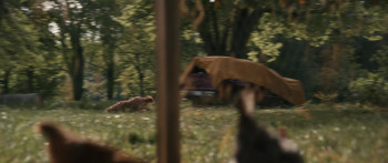 The Woman in the Yard (2025) download