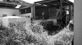 The Woman Who Left (2016) download