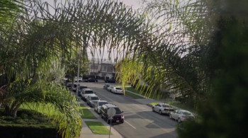 The Wrong House (2016) download