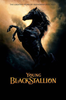 The Young Black Stallion (2003) download