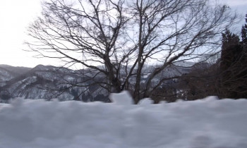 The Zen Diary (2022) download