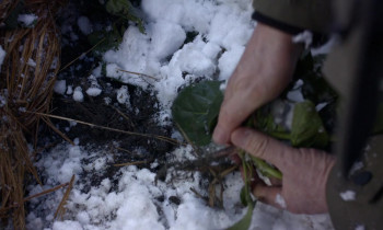 The Zen Diary (2022) download