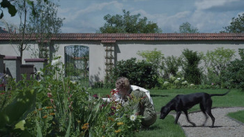 The Zone of Interest (2023) download