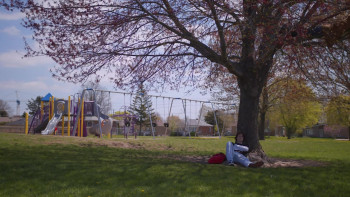 Therapy Dogs (2022) download