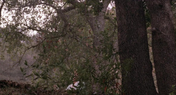 They Call Me Macho Woman! (1989) download