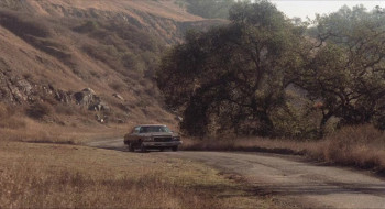 They Call Me Macho Woman! (1989) download