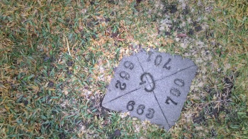 Third Eye Spies (2019) download