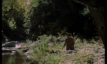 Those Calloways (1965) download