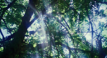 Thunder (2022) download