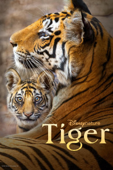 Tiger (2024) download