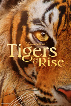 Tigers on the Rise (2024) download